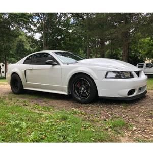 Meet your Posher, Nicky